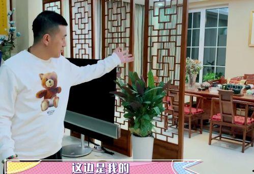 杨子侄女爆料视频,揭秘娱乐圈惊人内幕