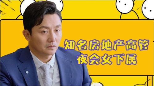 悉尼地产爆料新闻最新,最新爆料揭示惊人涨幅与投资机遇