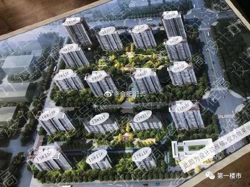 肥西县楼市最新爆料消息,揭秘最新爆料背后的市场真相