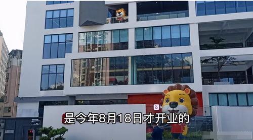 辛巴豪宅爆料事件视频,揭秘网红辛巴奢华生活背后的真相