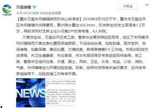 重庆刘先生最近爆料新闻,最新爆料事件深度解析