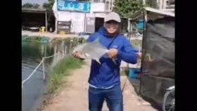 爆料钓鱼被打视频大全