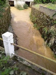 青岛水电站爆料视频大全,独家爆料视频大盘点