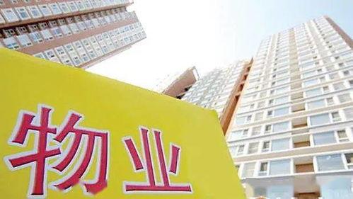 河北美源物业最新爆料,揭秘物业行业背后真相