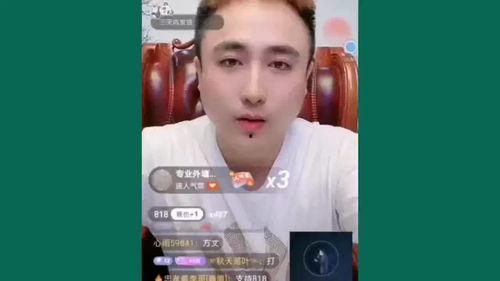 散打哥爆料半只狐狸视频,半只狐狸神秘视频背后的真相