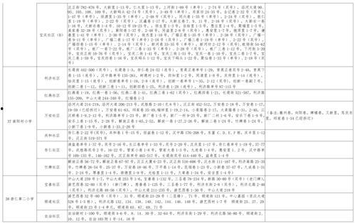 狸猫新形态爆料视频大全,视频大全带你领略萌宠进化之旅