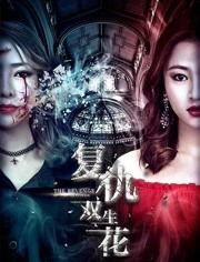 双生花电视剧在线观看,命运交织的姐妹情仇