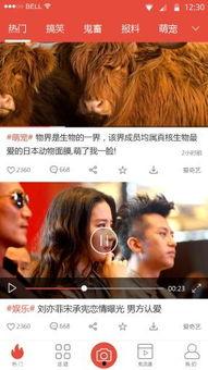 精选娱乐爆料视频下载,下载攻略大公开